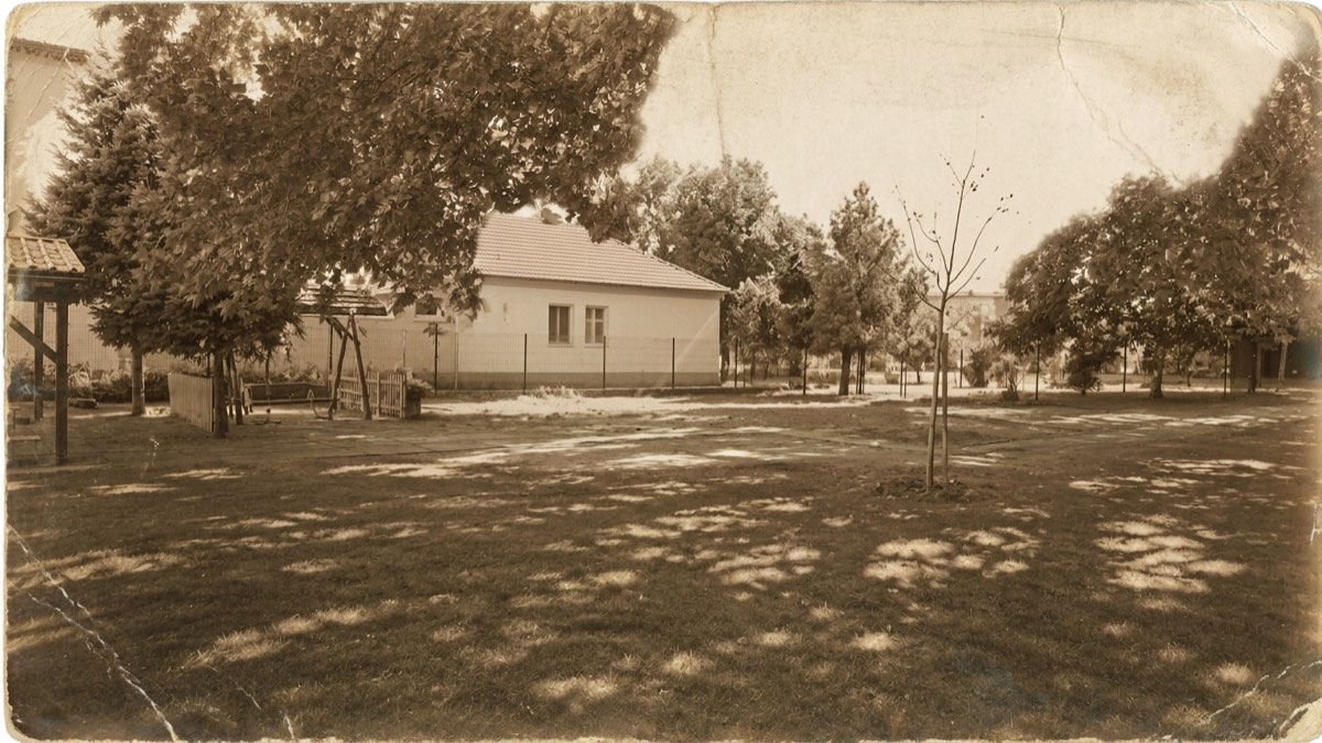 Dobová sépiová fotografia dvora školy s mladým platánom, 1897