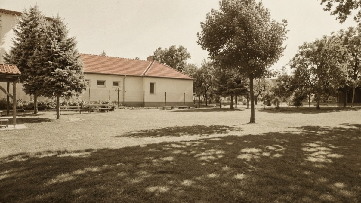 Sépiová fotografia školského dvora s dorastajúcim platánom, 1938